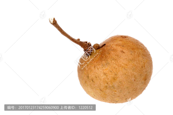 龍眼宏觀