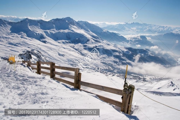 山