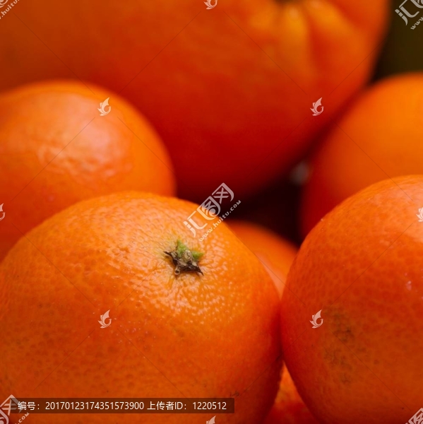 Tangerine夜店