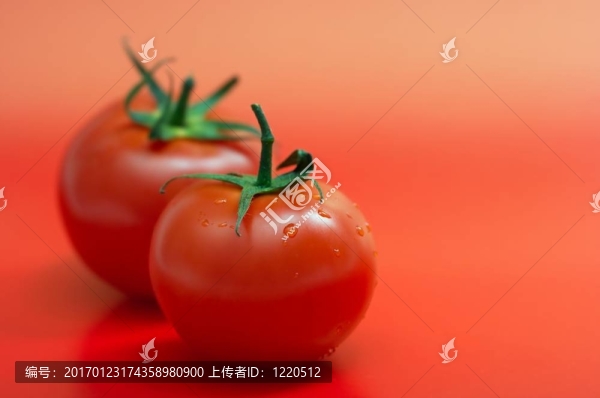 西紅柿