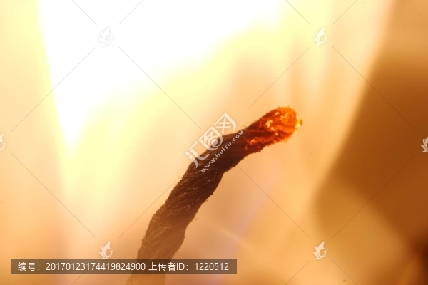 蠟燭