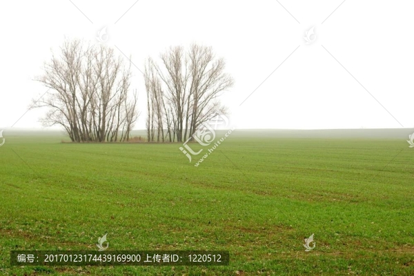 霧-匯圖網(wǎng) www.fosd68.com 霧