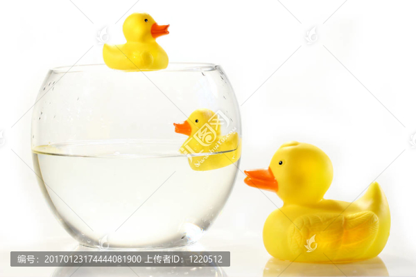 魚缸里的橡皮鴨子