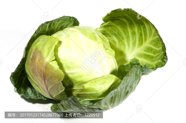 白菜蔬菜一全