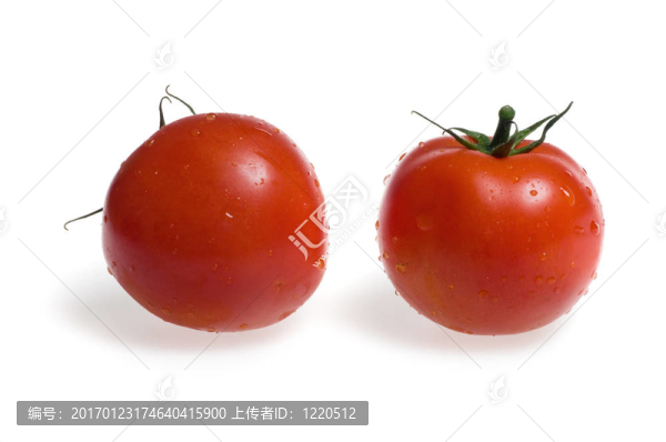 西紅柿在白