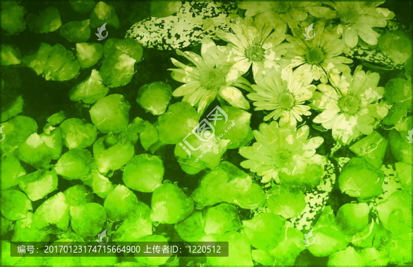 中世紀哥特式幻想夢幻王國