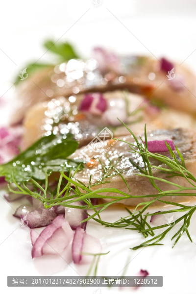 鯡魚(yú)