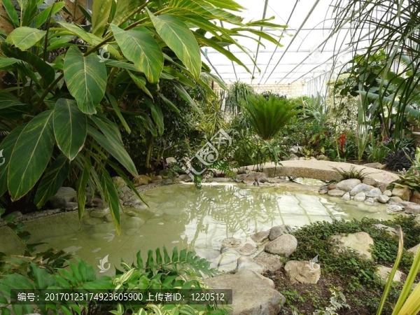 熱帶溫室的內(nèi)部