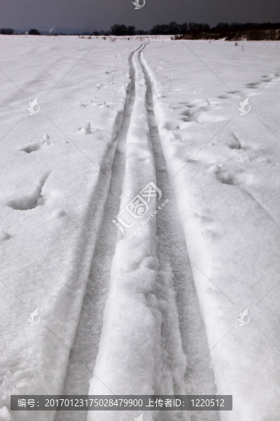 雪