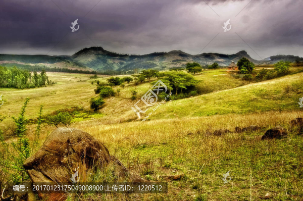 dsc_4223,-,Yellow,Ridge