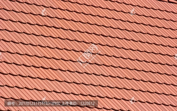 屋頂