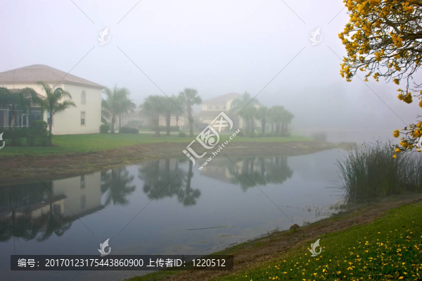 有霧的早晨