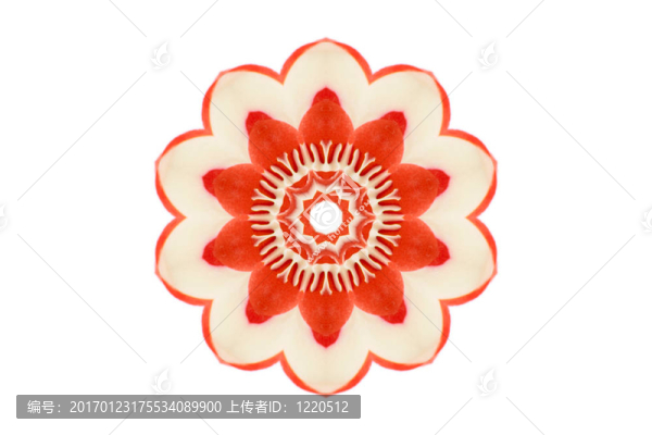 食品的萬(wàn)花筒