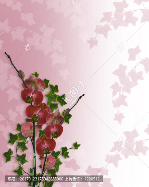 蘭花邊境婚禮