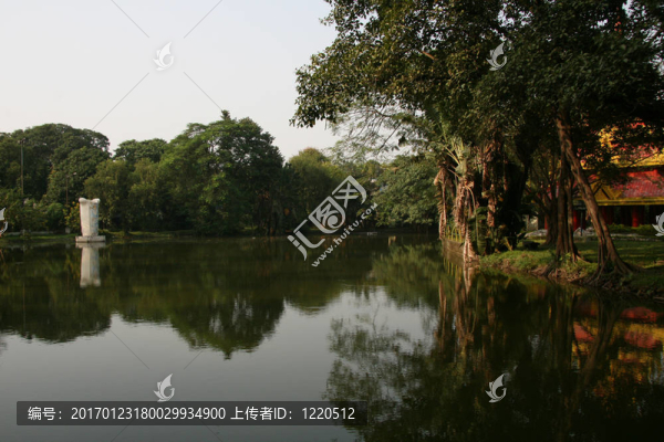 熱帶湖泊-伊甸園；加爾各答；印度