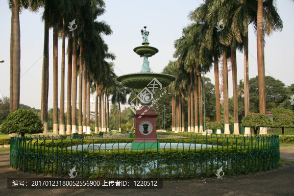 伊甸園；加爾各答；印度