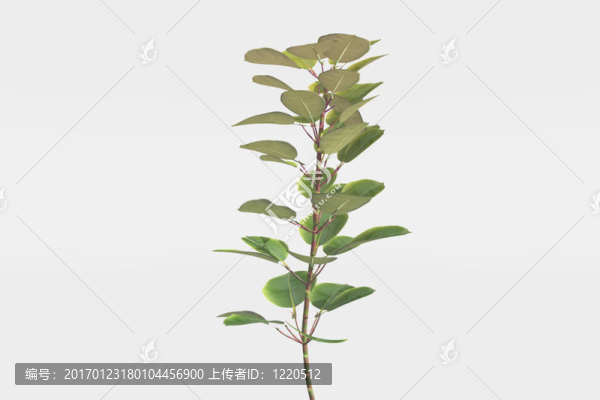橡膠廠