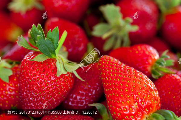 紅色的草莓