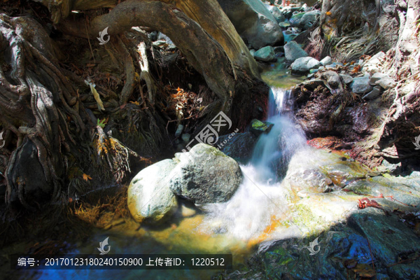 在研究塞浦路斯山瀑布；