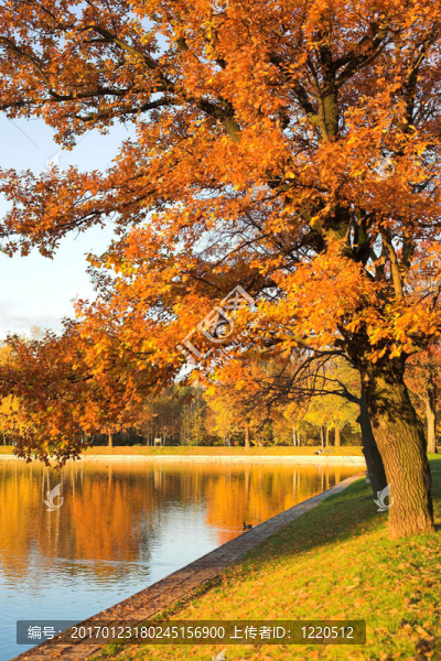 秋天的公園-匯圖網(wǎng) www.fosd68.com 秋天的公園