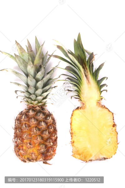 菠蘿-匯圖網(wǎng) www.fosd68.com 菠蘿