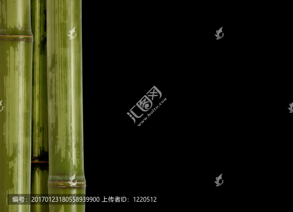 竹的背景-匯圖網(wǎng) www.fosd68.com 竹的背景