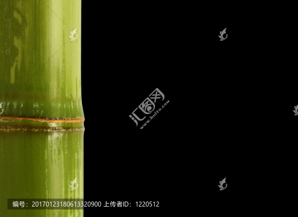 竹的詳細背景