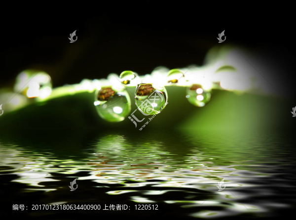 水滴背景