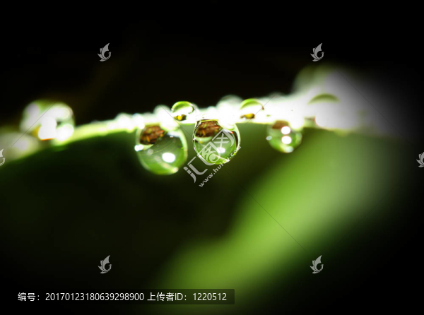 水滴背景