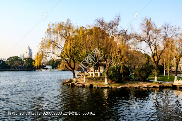 冬季公園景觀,背景,季節(jié)風(fēng)景