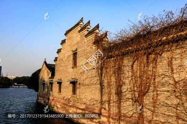 冬季公園景觀,背景,季節(jié)風(fēng)景