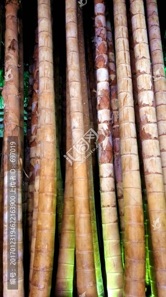中國(guó)竹子博物館