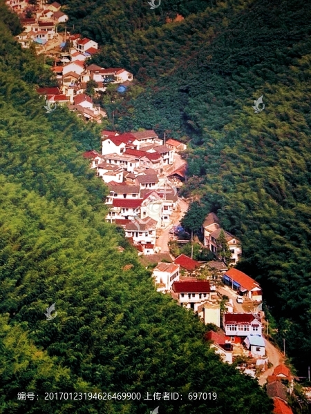 中國竹子博物館