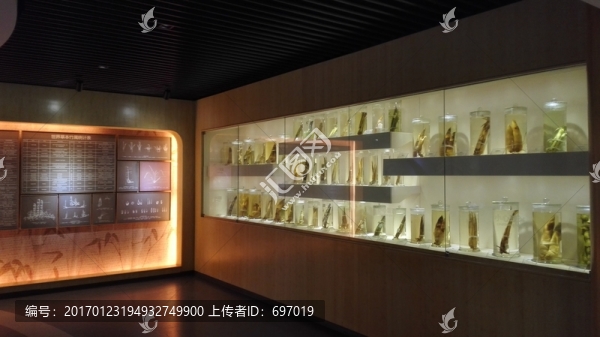 中國竹子博物館