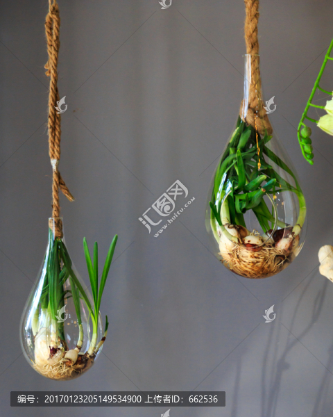 水仙花