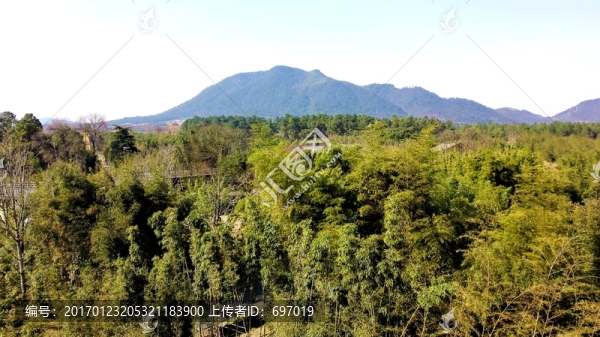 中國竹子博覽園