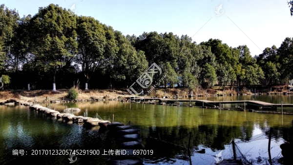 中國竹子博覽園