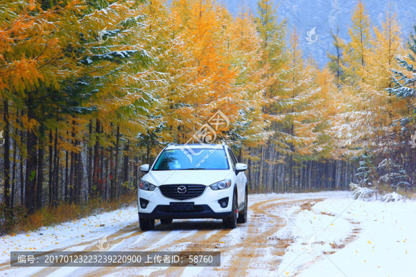秋林雪路越野車(chē)