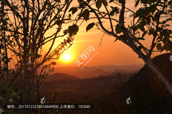 紅日01
