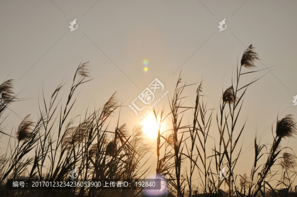 紅日1