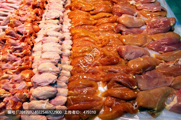 食品,笨雞,小雞