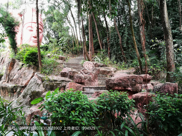 深圳羅湖東湖公園