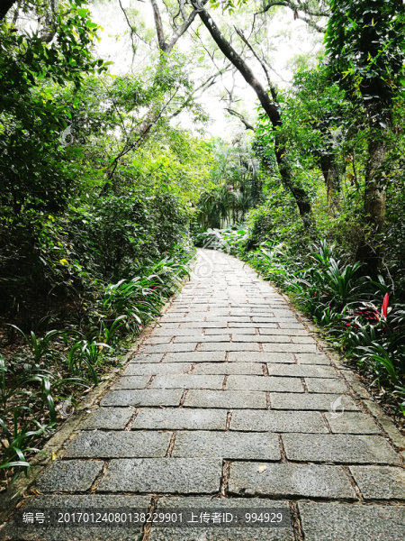 深圳羅湖東湖公園小道