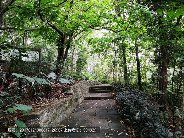 深圳羅湖東湖公園景區(qū)