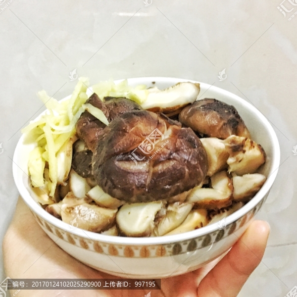 冬菇