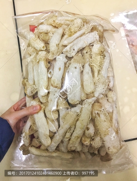 竹笙