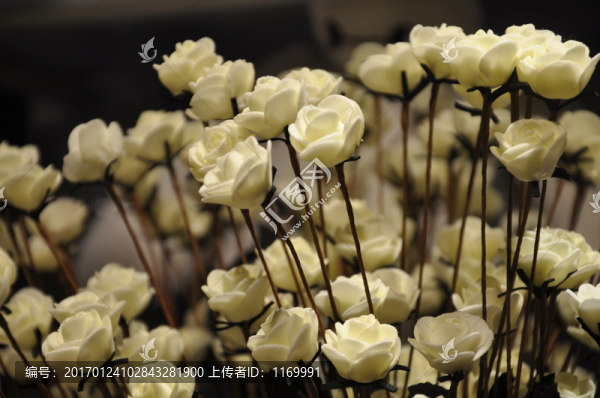 白花