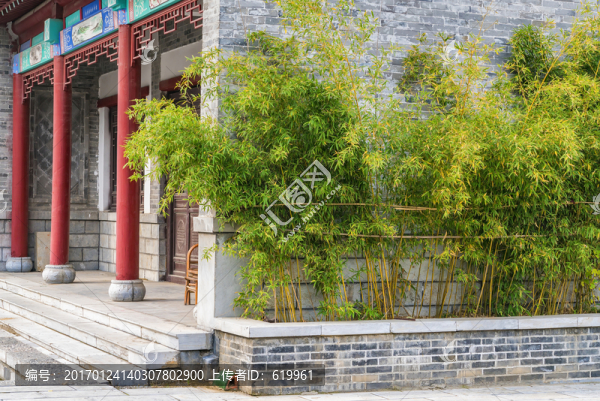墻邊竹子