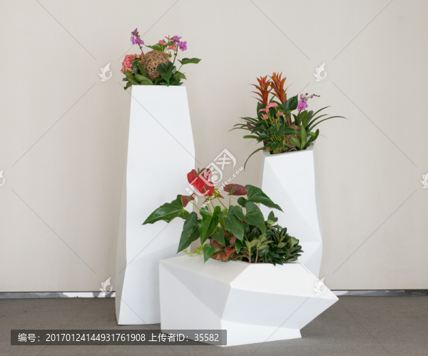 花盆