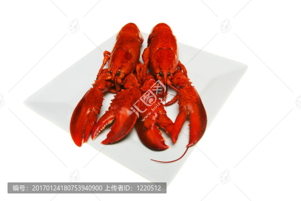 兩只龍蝦